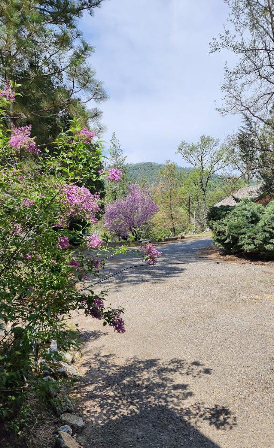Yosemite Mountain Retreat Oakhurst Exterior foto